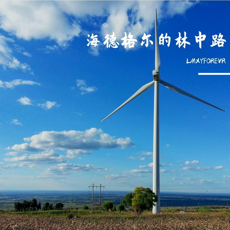矛盾体封面