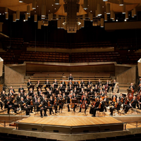 Berliner Philharmoniker资料,Berliner Philharmoniker最新歌曲,Berliner PhilharmonikerMV视频,Berliner Philharmoniker音乐专辑,Berliner Philharmoniker好听的歌