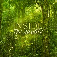 Inside the Jungle: Beautiful Nature’s Symphony