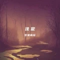注定 (DJ版)封面