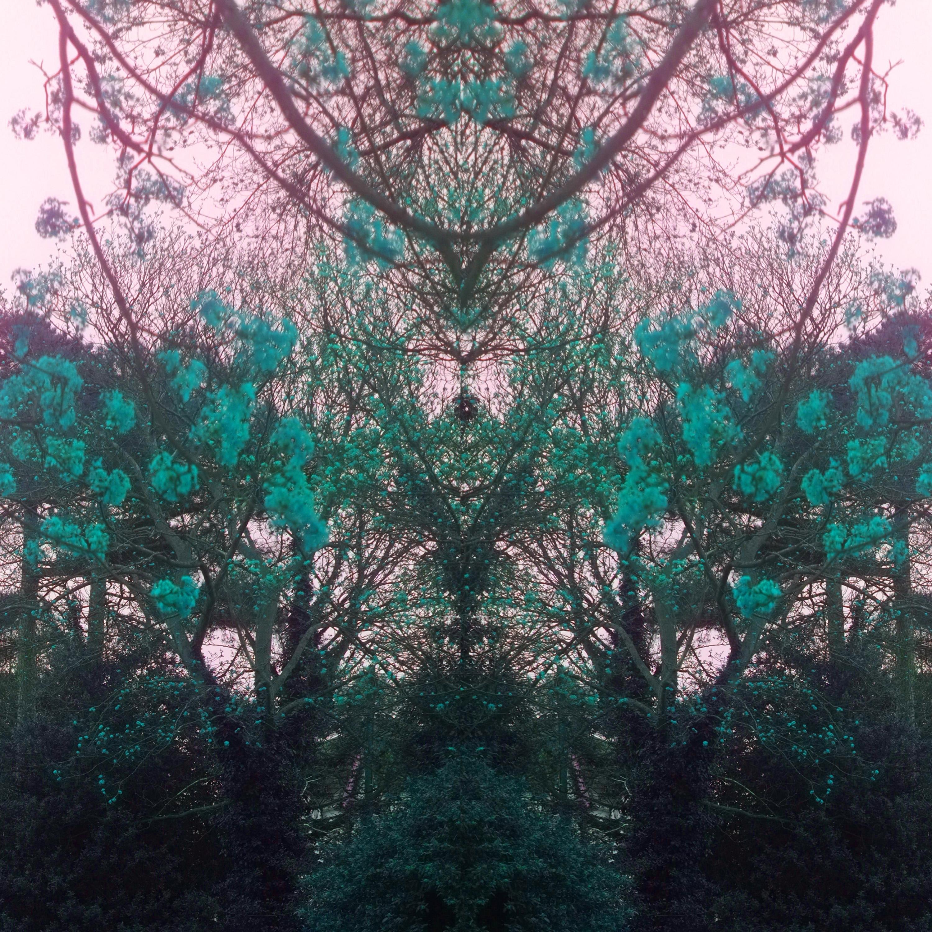 Lakshmi (Extended Version)