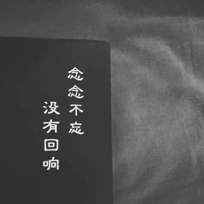 般配（0.8x）封面
