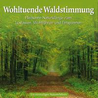 Wohltuende Waldstimmung: Heilsame Naturgeräusche