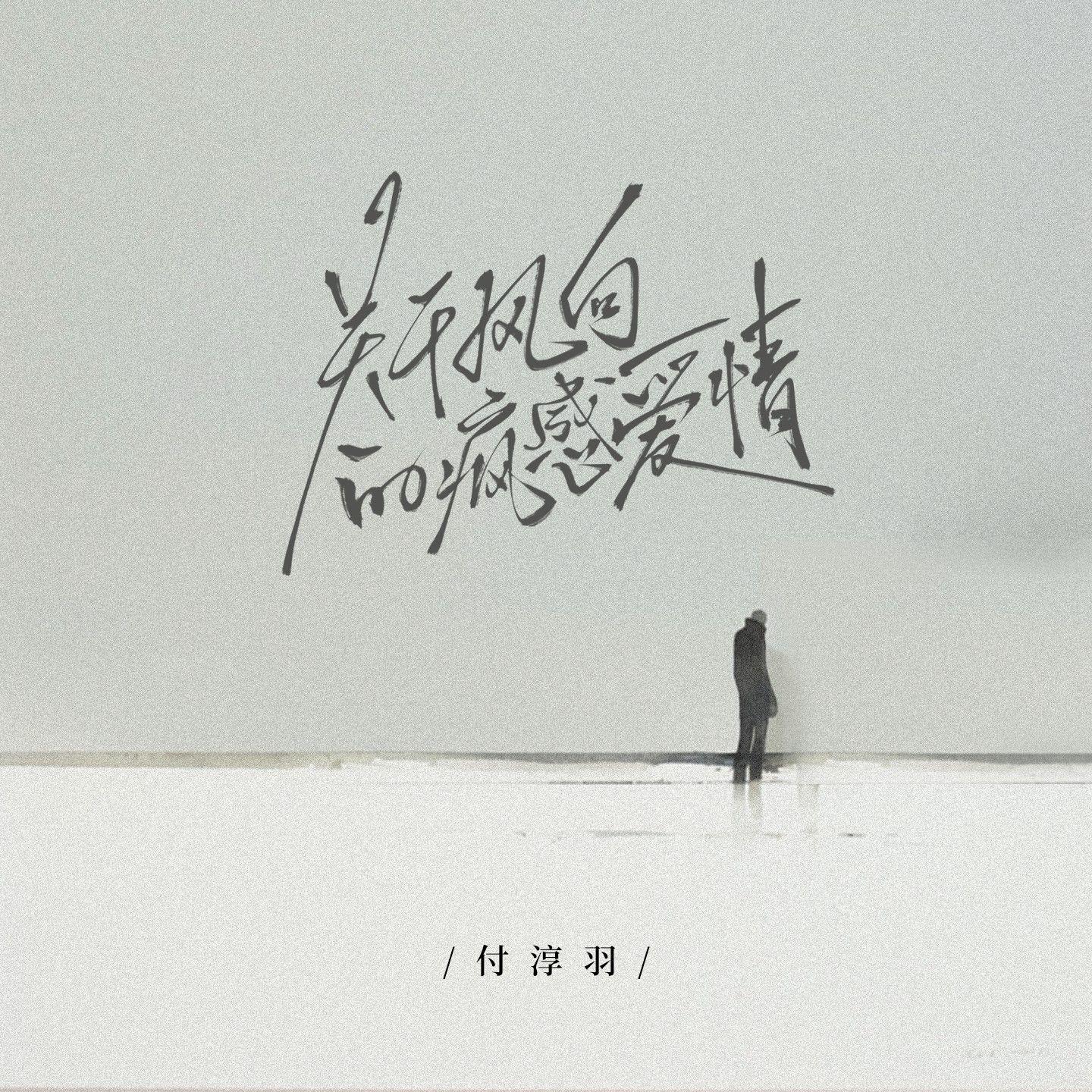 关于风向的疯感爱情(伴奏)封面