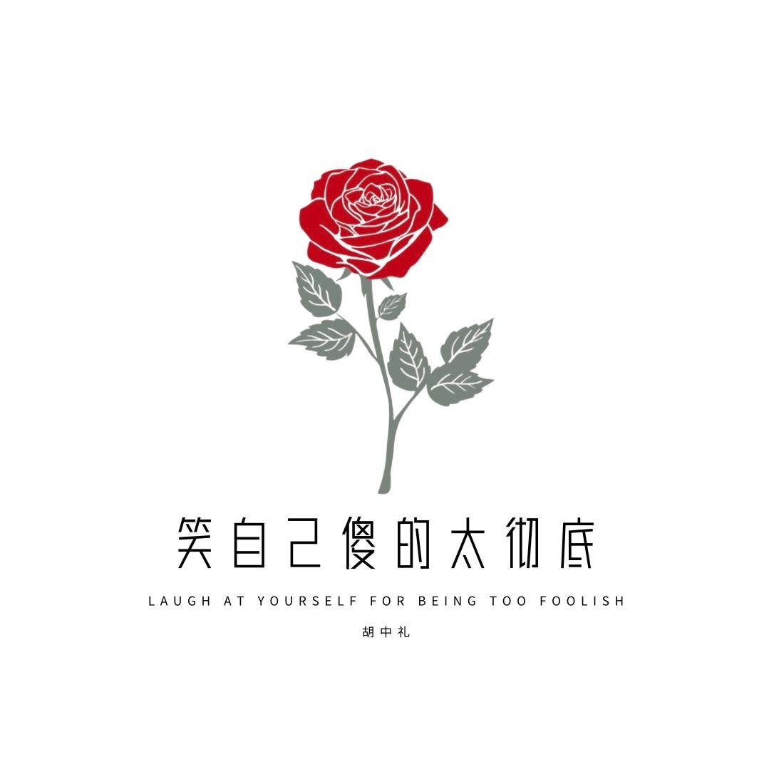 笑自己傻的太彻底封面