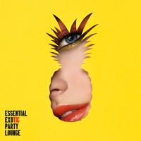 Essential Exotic Party Lounge: Compilation of 15 Best Electronic Vibes for Party, Deep Relax & Rest, Have Fun