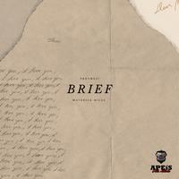 Brief