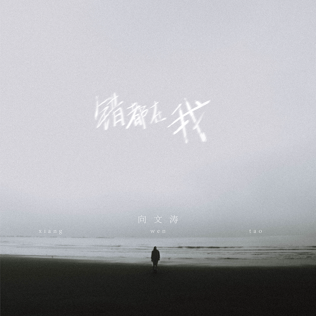 错都在我 - 向文涛封面