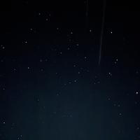 王执俊