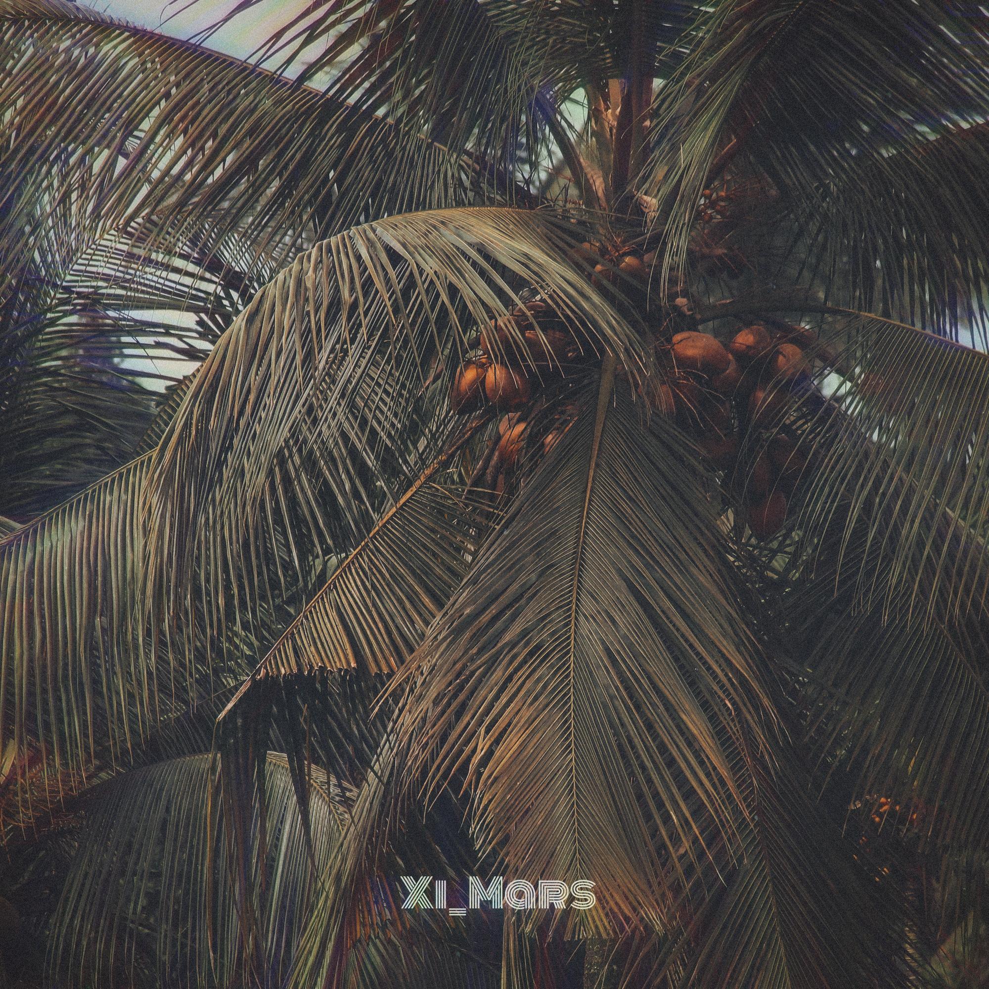 盛夏派对+【free】“color summer”——Lofi Type Beat