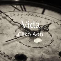 Vida