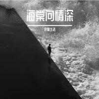 热爱生活 - 长夜