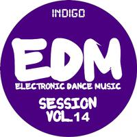 EDM Electronic Dance Music Session, Vol. 14 (Indigo)