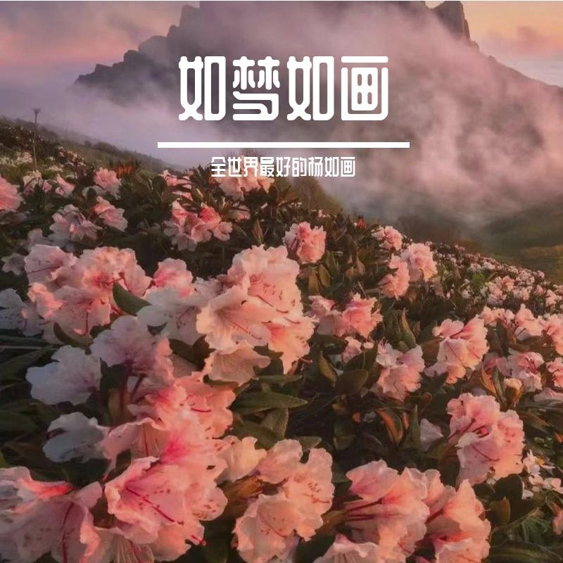 已是两条路上的人(原唱：赵雷) - 全世界最好的杨如画封面