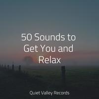 50 Sounds to Get You and Relax