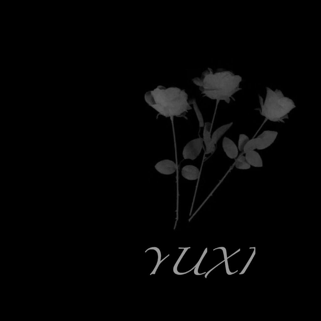 丝路 - 宇西封面