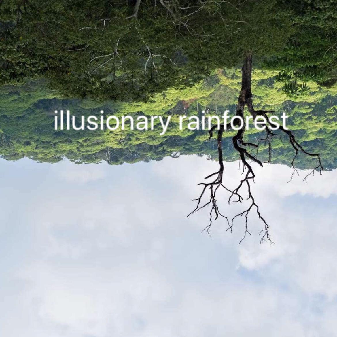 illusionary rainforest (instrumrumental)