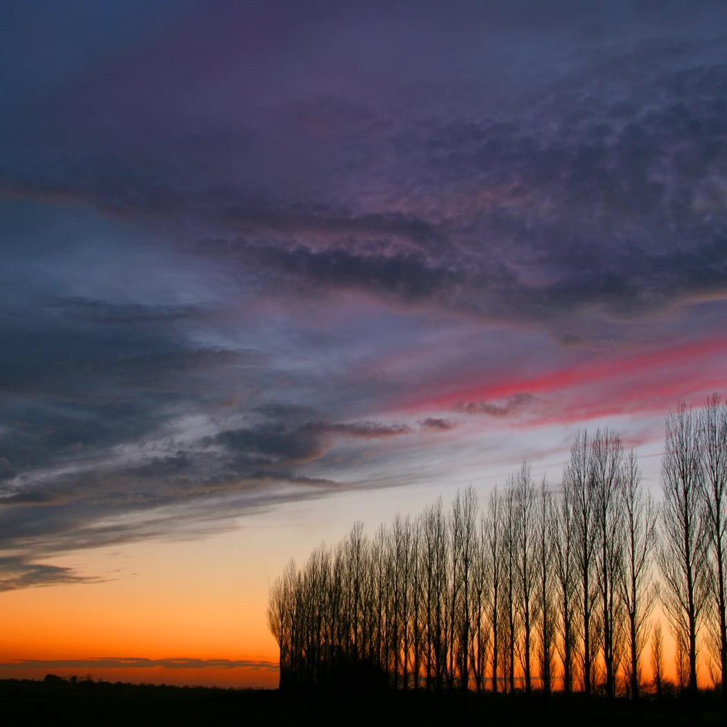 多想在平庸的生活拥抱你