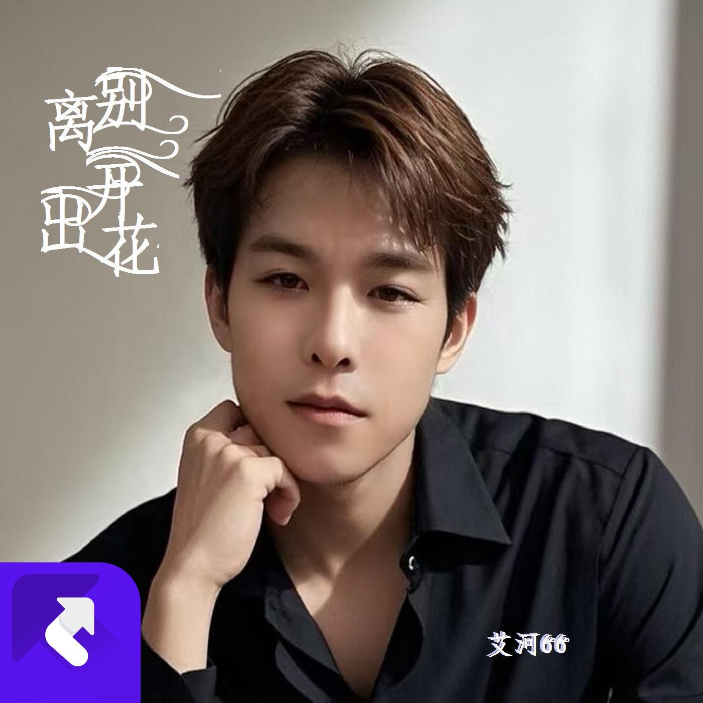 离别开出花 (DJ版)封面