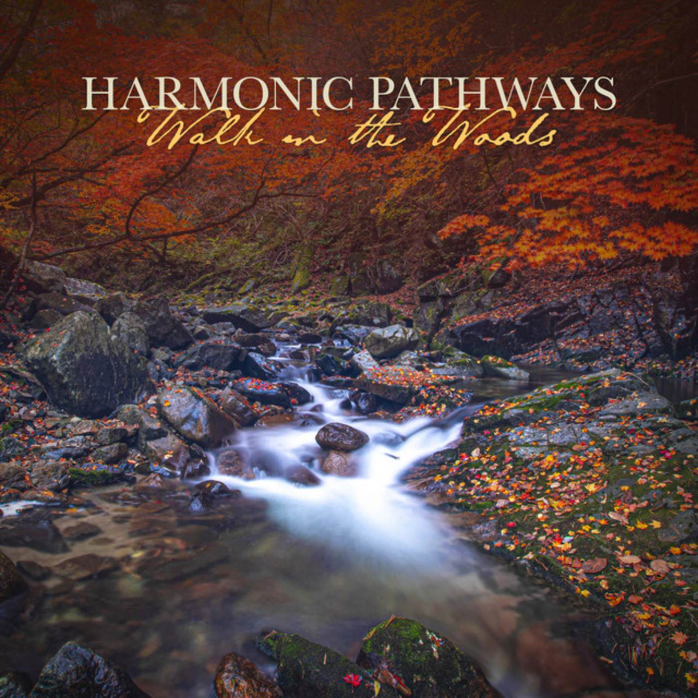 Distant Waterfall_Harmonic Pathways_Walk in the Woods | 在线播放_Distant Waterfall歌词_Distant Waterfall下载 | 网易云音乐