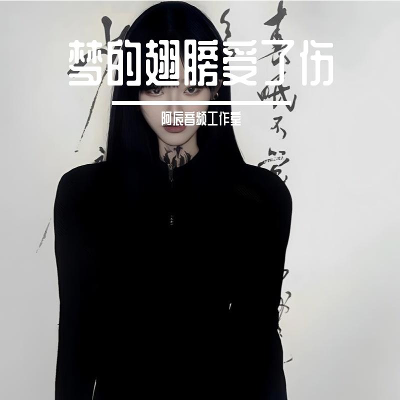 蒋雪儿Snow.J-梦的翅膀受了伤（阿辰音频工作室 remix）