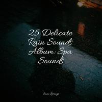 25 Delicate Rain Sounds Album: Spa Sounds