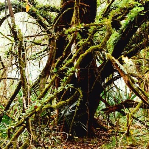 Daydream (Pryces Remix)