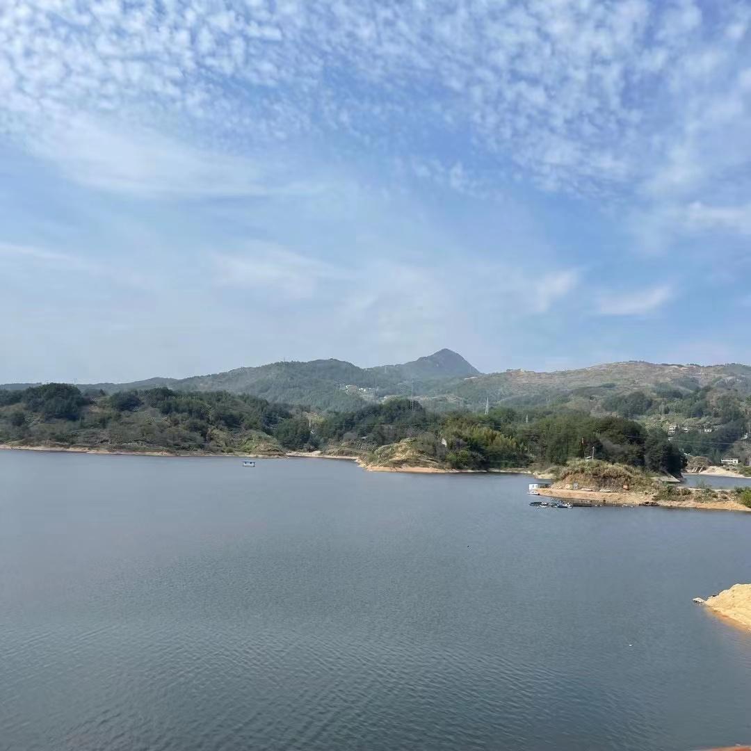 哪里都是你封面