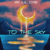 To The Sky (feat. Ari Duarte)