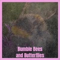 Bumble Bees and Butterflies