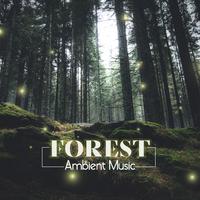 Forest Ambient Music