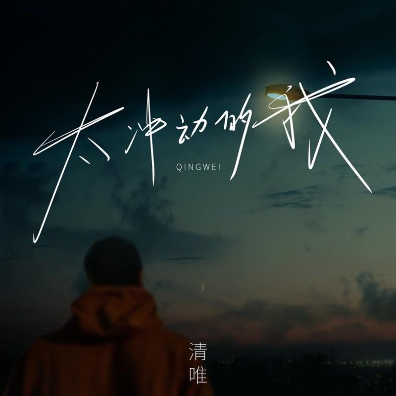太冲动的我 (DJ九零版)封面