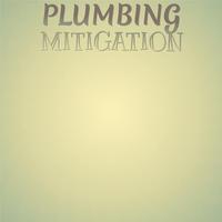 Plumbing Mitigation