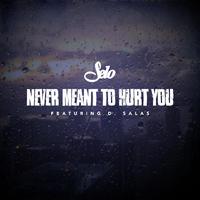 Never Meant to Hurt You (feat. D. Salas)