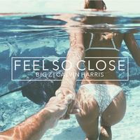 Feel So Close (Big Z Remix)