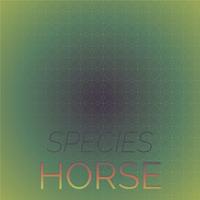 Species Horse