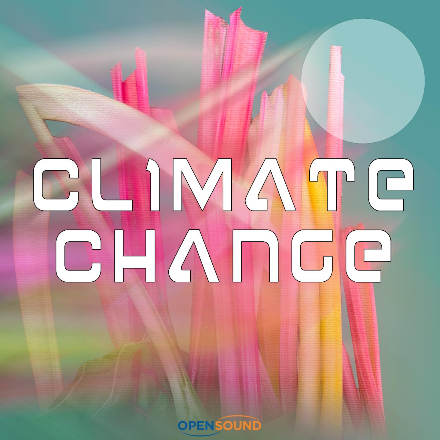 Reshaping (Full version)