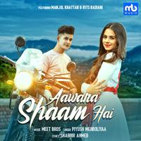 Aawara Shaam Hai (feat. Manjul Khattar & Rits Badiani)