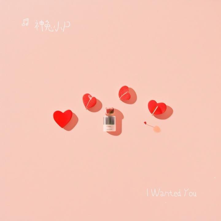 I Wanted You（神兔小 P Remix） - 神兔小P封面