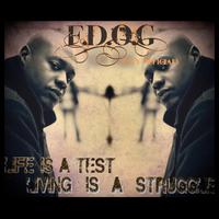 Life is a Test Living is a Struggle