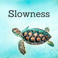 Slowness