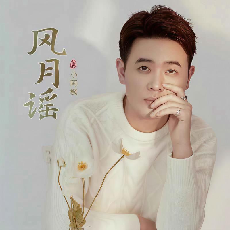 风月谣 (DJ名龙版)封面