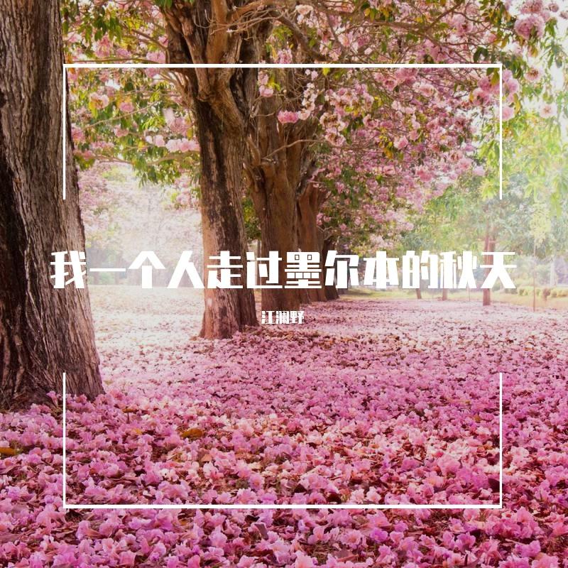 我一个人走过墨尔本的秋天封面