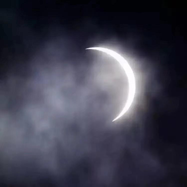 心台（翻自 Donlise）