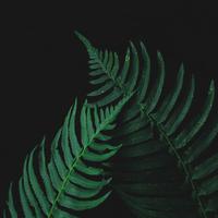 Relaxing Music Therapy - Start of Eternity