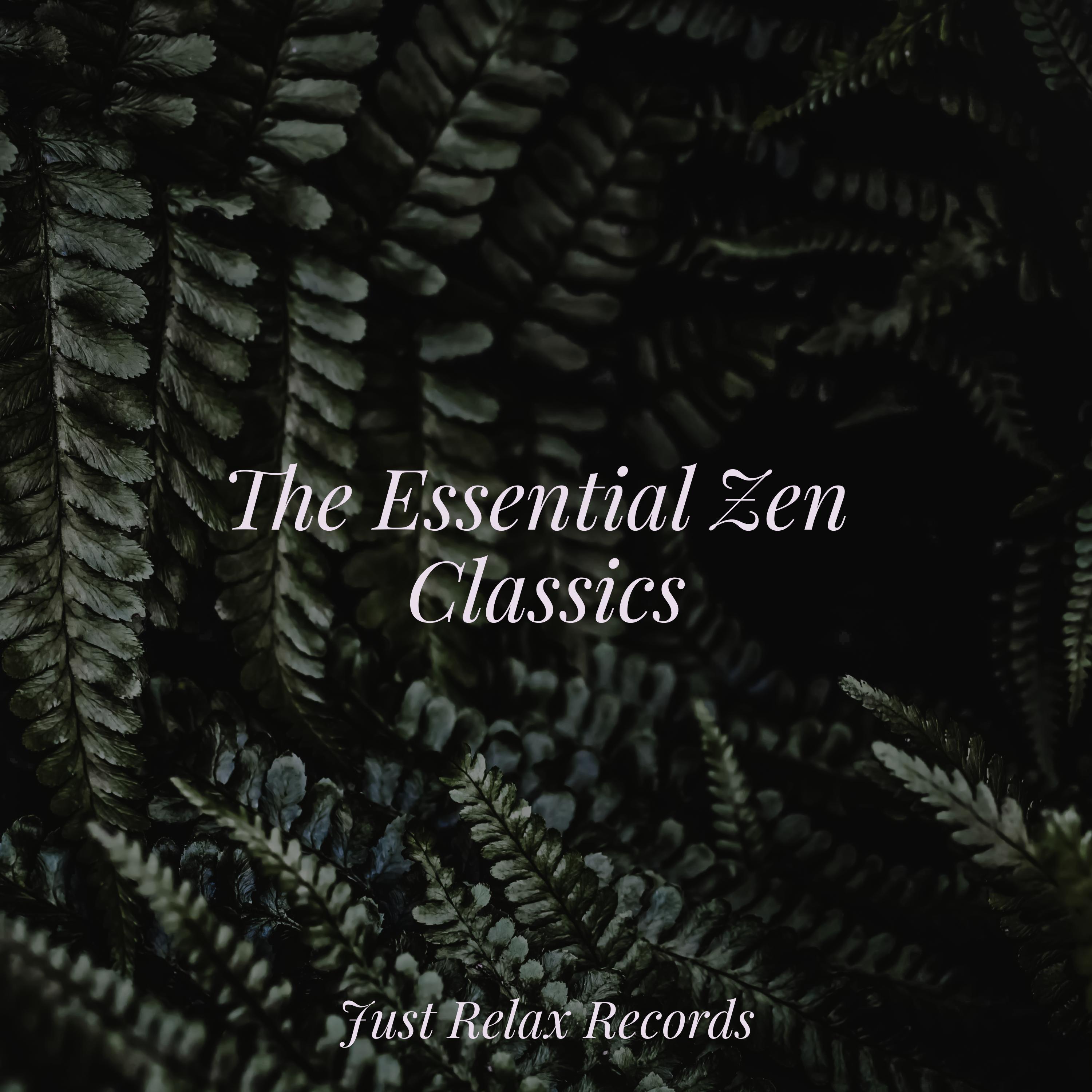 Moonlit Pathway Through Trees Spa/Lounge Music Café/Lucid Dreaming