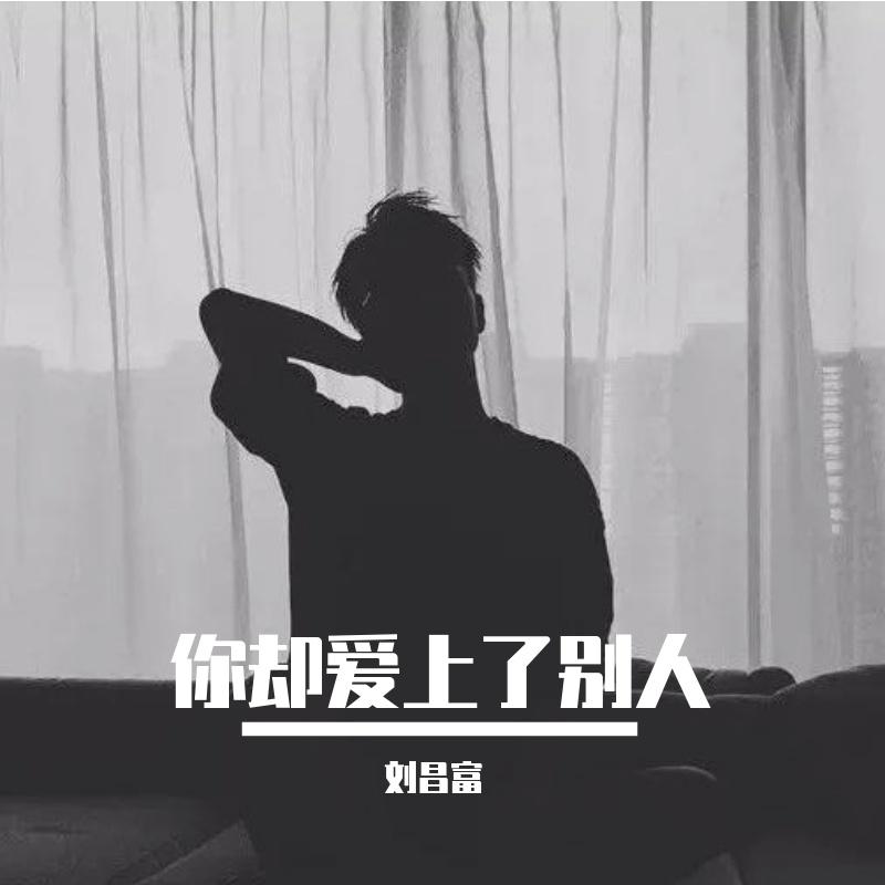 你却爱上了别人封面