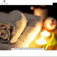 Blissfulness Of Life With Spa Sounds