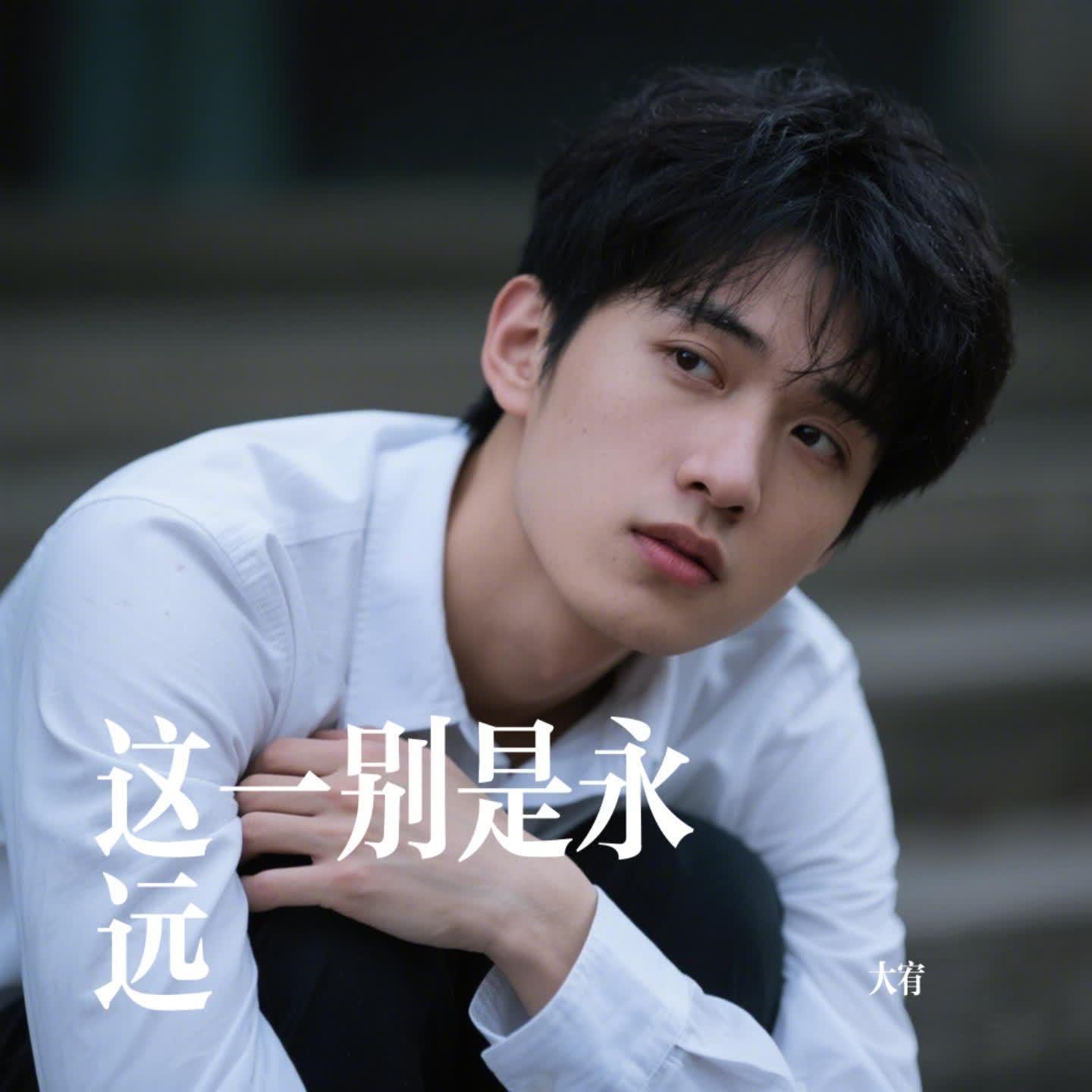 这一别是永远封面