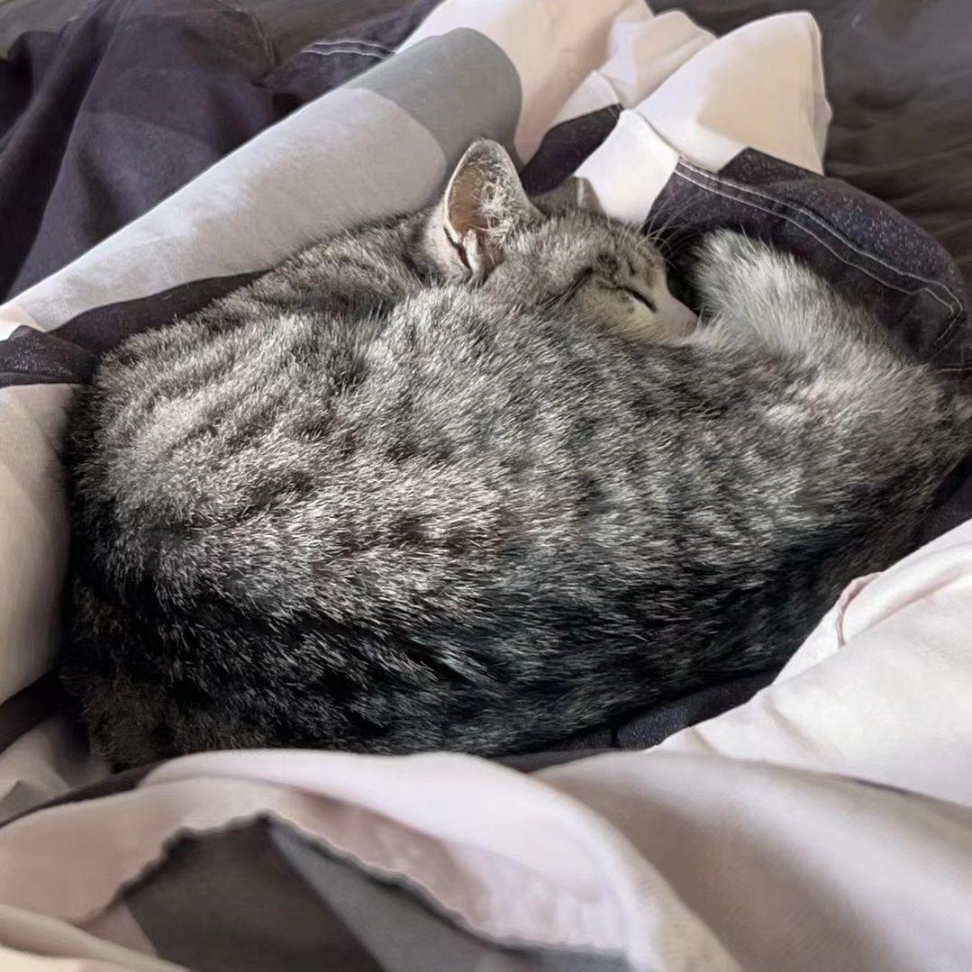 愈（prod by FRESH_ye）